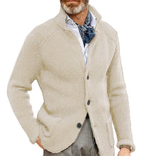 Load image into Gallery viewer, Gregory - Herren Strickpullover mit schmalem Stehkragen