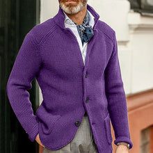 Load image into Gallery viewer, Gregory - Herren Strickpullover mit schmalem Stehkragen